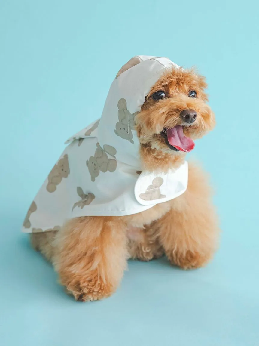 CAT&DOG Pet Rain Poncho